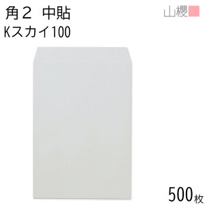 [P[X̔] RN  p2 \ KXJC 100g giV 500 / A4p J[Ntg n X֔ԍgȂ  p Ɩp  Зp rWlX ItBX c c^ 00532006-0500