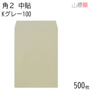 [P[X̔] RN  p2 \ KO[ 100g giV 500 / A4p J[Ntg n X֔ԍgȂ  p Ɩp  Зp rWlX ItBX c c^ 00532007-0500