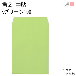 RN  p2 \ KO[ 100g giV 100 / A4p J[Ntg n X֔ԍgȂ  p Ɩp  Зp rWlX ItBX c c^ 00532008-0100