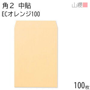 RN  p2 \ ECIW 100g giV 100 / A4p pXeJ[ n X֔ԍgȂ  p Ɩp  Зp rWlX ItBX c c^ 00533009-0100