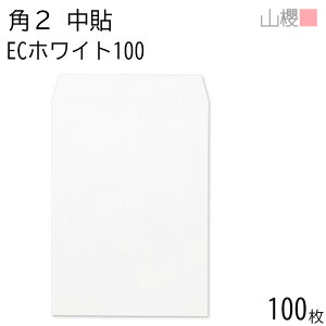 RN  p2 \ ECzCgCoC 100g giV 100 / A4p  n X֔ԍgȂ  p Ɩp  Зp rWlX ItBX c c^ 00533010-0100