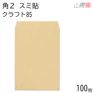 RN  p2 X~\ NtgCoC 85g giV 100 / A4p  n X֔ԍgȂ  p Ɩp  Зp rWlX ItBX c c^ 00534002-0100