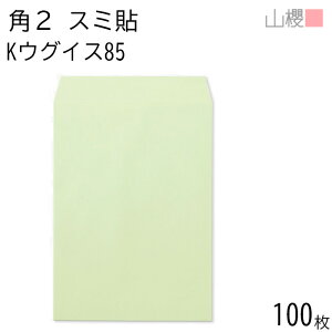 RN  p2 X~\ KEOCX 85g giV 100 / A4p J[Ntg n X֔ԍgȂ  p Ɩp  Зp rWlX ItBX c c^ 00534021-0100
