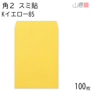 RN  p2 X~\ KCG[ 85g giV 100 / A4p J[Ntg n X֔ԍgȂ  p Ɩp  Зp rWlX ItBX c c^ 00534025-0100