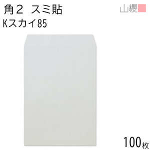 RN  p2 X~\ KXJC 85g giV 100 / A4p J[Ntg n X֔ԍgȂ  p Ɩp  Зp rWlX ItBX c c^ 00534026-0100