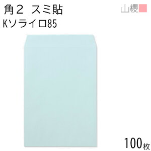 RN  p2 X~\ K\C 85g giV 100 / A4p J[Ntg n X֔ԍgȂ  p Ɩp  Зp rWlX ItBX c c^ 00534031-0100