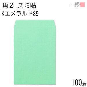 RN  p2 X~\ KGh 85g giV 100 / A4p J[Ntg n X֔ԍgȂ  p Ɩp  Зp rWlX ItBX c c^ 00534032-0100