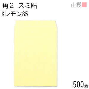 [P[X̔] RN  p2 X~\ K 85g giV 500 / A4p J[Ntg n X֔ԍgȂ  p Ɩp  Зp rWlX ItBX c c^ 00534033-0500