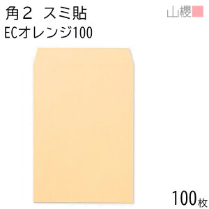 RN  p2 X~\ ECIW 100g giV 100 / A4p pXeJ[ n X֔ԍgȂ  p Ɩp  Зp rWlX ItBX c c^ 00534049-0100