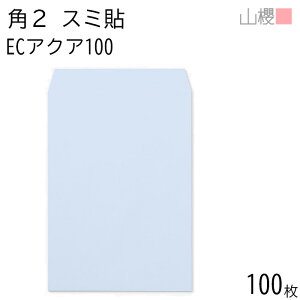 RN  p2 X~\ ECANACoC 100g giV 100 / A4p pXeJ[ n X֔ԍgȂ  p Ɩp  Зp rWlX ItBX c c^ 00534052-0100
