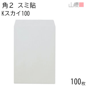 RN  p2 X~\ KXJC 100g giV 100 / A4p J[Ntg n X֔ԍgȂ  p Ɩp  Зp rWlX ItBX c c^ 00534066-0100