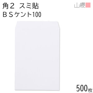 [P[X̔] RN  p2 X~\ BSPgCoC 100g giV 500 / A4p  n X֔ԍgȂ  p Ɩp  Зp rWlX ItBX c c^ 00534301-0500