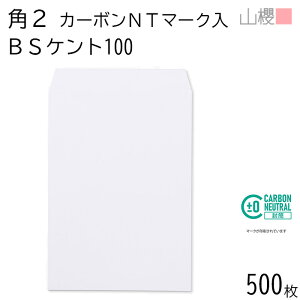 [P[X̔] RN  p2 X~\ J[{j[g}[N BSPgCoC 100g giV 500 / A4p  n X֔ԍgȂ 00534405-0500