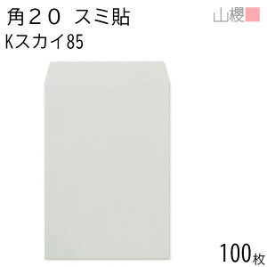 RN  p20 X~\ KXJC 85g giV 100 / A4p J[Ntg n X֔ԍgȂ  p Ɩp  Зp rWlX ItBX c c^ 00536041-0100