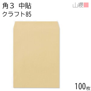 RN  p3 \ NtgCoC 85g giV 100 / B5p  n X֔ԍgȂ  p Ɩp  Зp rWlX ItBX c c^ 00537006-0100