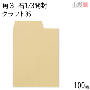 RN  p3 \ J(E1/3) NtgCoC 85g giV 100 / B5p  n X֔ԍgȂ  p Ɩp  Зp rWlX ItBX c c^ 00537009-0100