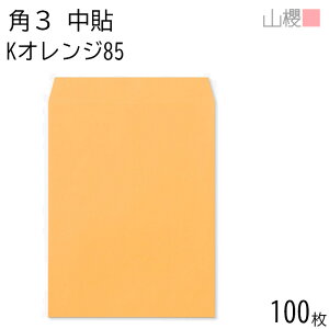 RN  p3 \ KIW 85g giV 100 / B5p J[Ntg n X֔ԍgȂ  p Ɩp  Зp rWlX ItBX c c^ 00539004-0100