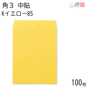 ySALE10%OFF!zRN  p3 \ KCG[ 85g giV 100 / B5p J[Ntg n X֔ԍgȂ  p Ɩp  Зp rWlX ItBX c c^ 00539005-0100