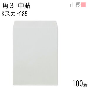 RN  p3 \ KXJC 85g giV 100 / B5p J[Ntg n X֔ԍgȂ  p Ɩp  Зp rWlX ItBX c c^ 00539006-0100