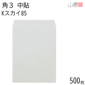 [P[X̔] RN  p3 \ KXJC 85g giV 500 / B5p J[Ntg n X֔ԍgȂ  p Ɩp  Зp rWlX ItBX c c^ 00539006-0500