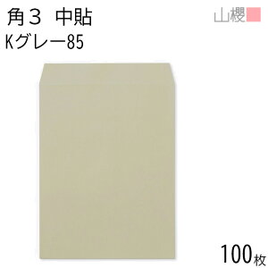 RN  p3 \ KO[ 85g giV 100 / B5p J[Ntg n X֔ԍgȂ  p Ɩp  Зp rWlX ItBX c c^ 00539007-0100