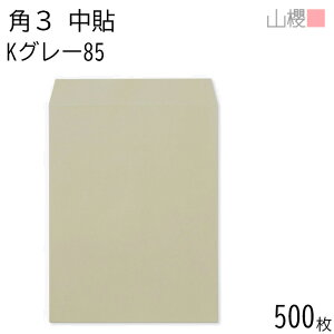 [P[X̔] RN  p3 \ KO[ 85g giV 500 / B5p J[Ntg n X֔ԍgȂ  p Ɩp  Зp rWlX ItBX c c^ 00539007-0500