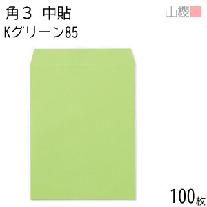 RN  p3 \ KO[ 85g giV 100 / B5p J[Ntg n X֔ԍgȂ  p Ɩp  Зp rWlX ItBX c c^ 00539008-0100