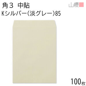 RN  p3 \ KVo[(WO[) 85g giV 100 / B5p J[Ntg n X֔ԍgȂ  p Ɩp  Зp rWlX ItBX c c^ 00539010-0100