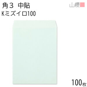 RN  p3 \ K~YC 100g giV 100 / B5p J[Ntg n X֔ԍgȂ  p Ɩp  Зp rWlX ItBX c c^ 00540002-0100