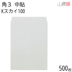 [P[X̔] RN  p3 \ KXJC 100g giV 500 / B5p J[Ntg n X֔ԍgȂ  p Ɩp  Зp rWlX ItBX c c^ 00540006-0500