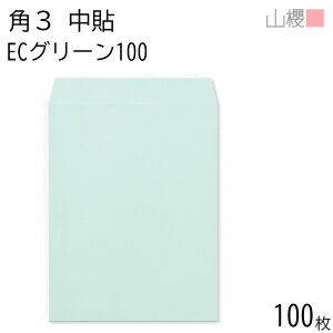 RN  p3 \ ECO[CoC 100g giV 100 / B5p pXeJ[ n X֔ԍgȂ  p Ɩp  Зp rWlX ItBX c c^ 00541003-0100