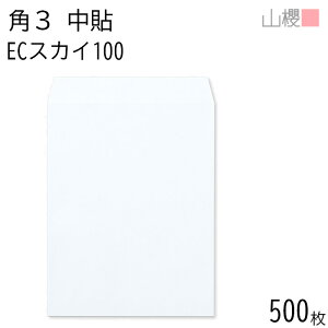 [P[X̔] RN  p3 \ ECXJC 100g giV 500 / B5p pXeJ[ n X֔ԍgȂ  p Ɩp  Зp rWlX ItBX c c^ 00541008-0500