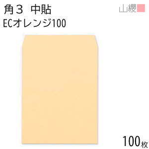 RN  p3 \ ECIW 100g giV 100 / B5p pXeJ[ n X֔ԍgȂ  p Ɩp  Зp rWlX ItBX c c^ 00541009-0100