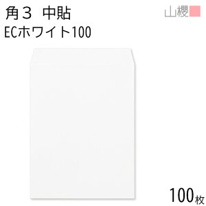 RN  p3 \ ECzCgCoC 100g giV 100 / B5p  n X֔ԍgȂ  p Ɩp  Зp rWlX ItBX c c^ 00541010-0100