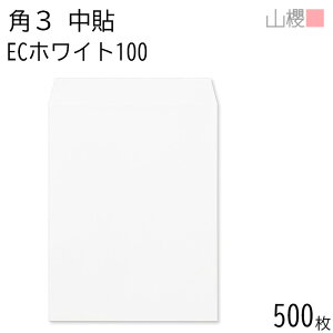[P[X̔] RN  p3 \ ECzCgCoC 100g giV 500 / B5p  n X֔ԍgȂ  p Ɩp  Зp rWlX ItBX c c^ 00541010-0500