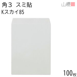 RN  p3 X~\ KXJC 85g giV 100 / B5p J[Ntg n X֔ԍgȂ  p Ɩp  Зp rWlX ItBX c c^ 00542026-0100