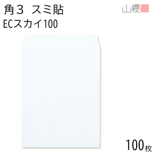 RN  p3 X~\ ECXJC 100g giV 100 / B5p pXeJ[ n X֔ԍgȂ  p Ɩp  Зp rWlX ItBX c c^ 00542048-0100