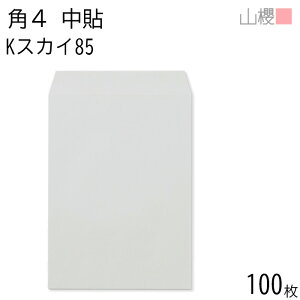 RN  p4 \ KXJC 85g giV 100 / B5p J[Ntg n X֔ԍgȂ  p Ɩp  Зp rWlX ItBX c c^ 00545026-0100