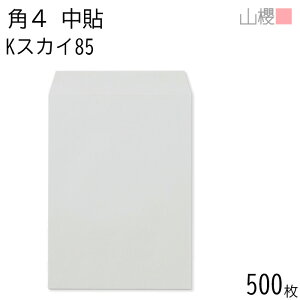 [P[X̔] RN  p4 \ KXJC 85g giV 500 / B5p J[Ntg n X֔ԍgȂ  p Ɩp  Зp rWlX ItBX c c^ 00545026-0500