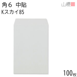 RN  p6 \ KXJC 85g giV 100 / A5p J[Ntg n X֔ԍgȂ  p Ɩp  Зp rWlX ItBX c c^ 00547026-0100