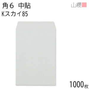 [P[X̔] RN  p6 \ KXJC 85g giV 1,000 / A5p J[Ntg n X֔ԍgȂ  p Ɩp  Зp rWlX ItBX c c^ 00547026-1000