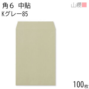 RN  p6 \ KO[ 85g giV 100 / A5p J[Ntg n X֔ԍgȂ  p Ɩp  Зp rWlX ItBX c c^ 00547027-0100