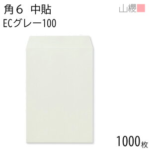 [P[X̔] RN  p6 \ ECO[CoC 100g giV 1,000 / A5p pXeJ[ n X֔ԍgȂ  p Ɩp  Зp rWlX ItBX c c^ 00547034-1000