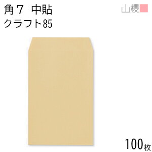 RN  p7 \ NtgCoC 85g giV 100 / B6p  n X֔ԍgȂ  p Ɩp  Зp rWlX ItBX c c^ 00548004-0100