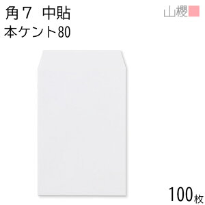 RN  p7 \ {PgCoC 80g giV 100 / B6p  n X֔ԍgȂ  p Ɩp  Зp rWlX ItBX c c^ 00548012-0100