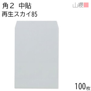 RN  p2 \ SKXJC 85g giV 100 / A4p n X֔ԍgȂ  p Ɩp  Зp rWlX ItBX c c^ ĐJ[ Îz 00562215-0100