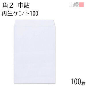 RN  p2 \ TCZCPg 100g giV 100 / A4p  n X֔ԍgȂ  p Ɩp  Зp rWlX ItBX c c^ 00562246-0100