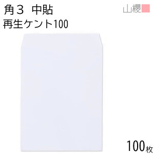 RN  p3 \ TCZCPg 100g giV 100 / B5p  n X֔ԍgȂ  p Ɩp  Зp rWlX ItBX c c^ 00562343-0100