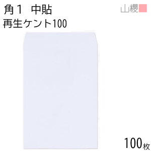 RN  p1 \ TCZCPg 100g giV 100 / B4p  n X֔ԍgȂ  p Ɩp  Зp rWlX ItBX c c^ 00562443-0100