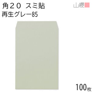 RN  p20 X~\ SKO[ 85g giV 100 / A4p n X֔ԍgȂ  p Ɩp  Зp rWlX ItBX c c^ ĐJ[ Îz 00562617-0100